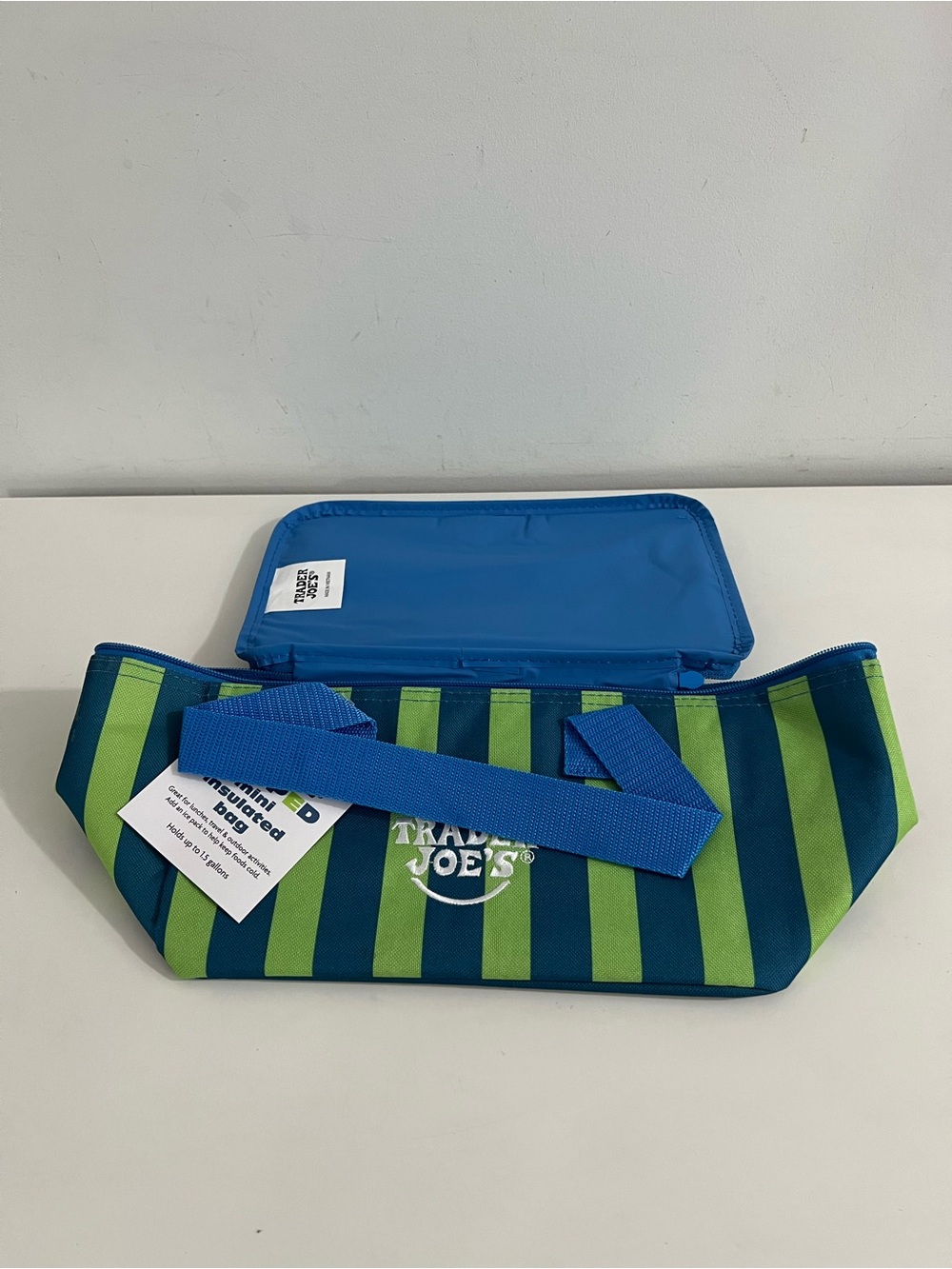 Trader Joe’s Mini Insulated Tote Bag Blue / Green Stripe